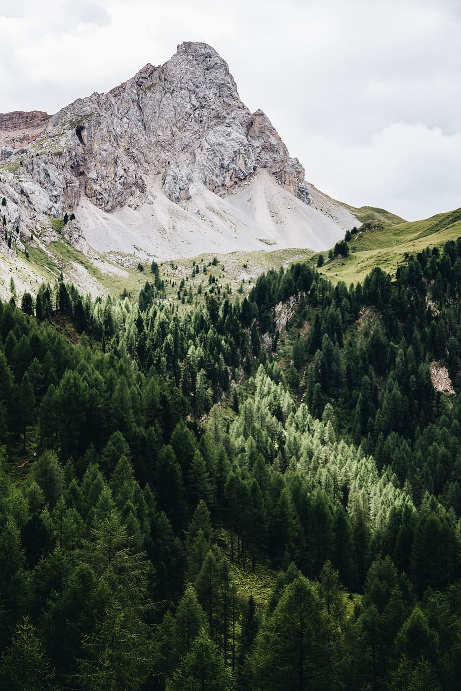 green trees near mountain, scenics - nature, beauty in nature HD wallpaper