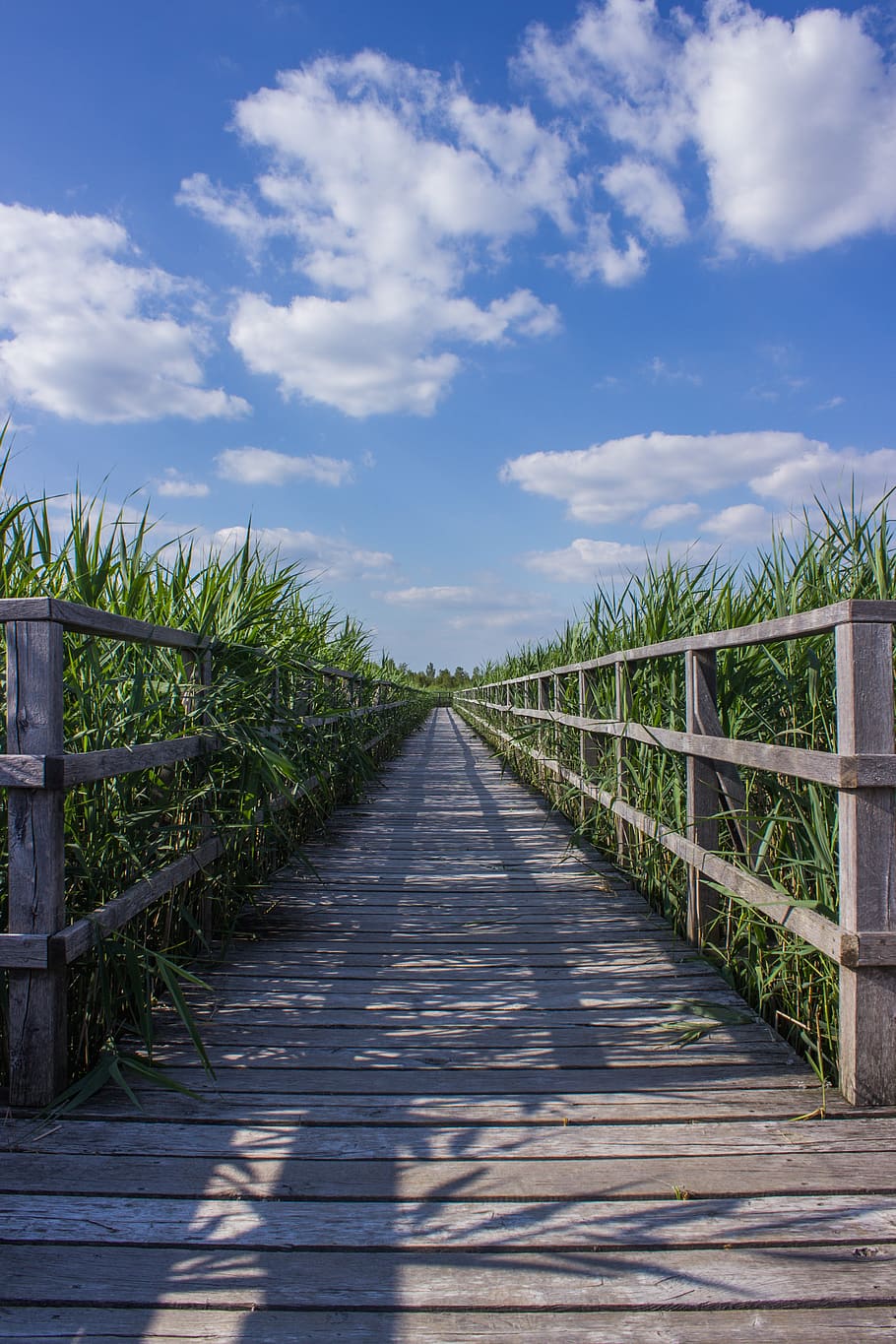 Green Grass Field, boardwalk, bridge, cloud, clouds, cloudy, fence HD wallpaper