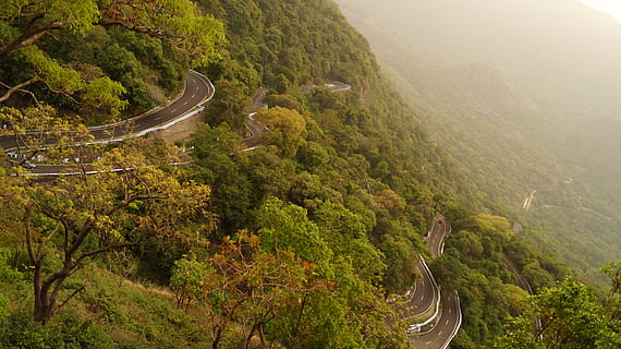 india, valparai, road, forest, vacation, spring, hill, photo HD wallpaper