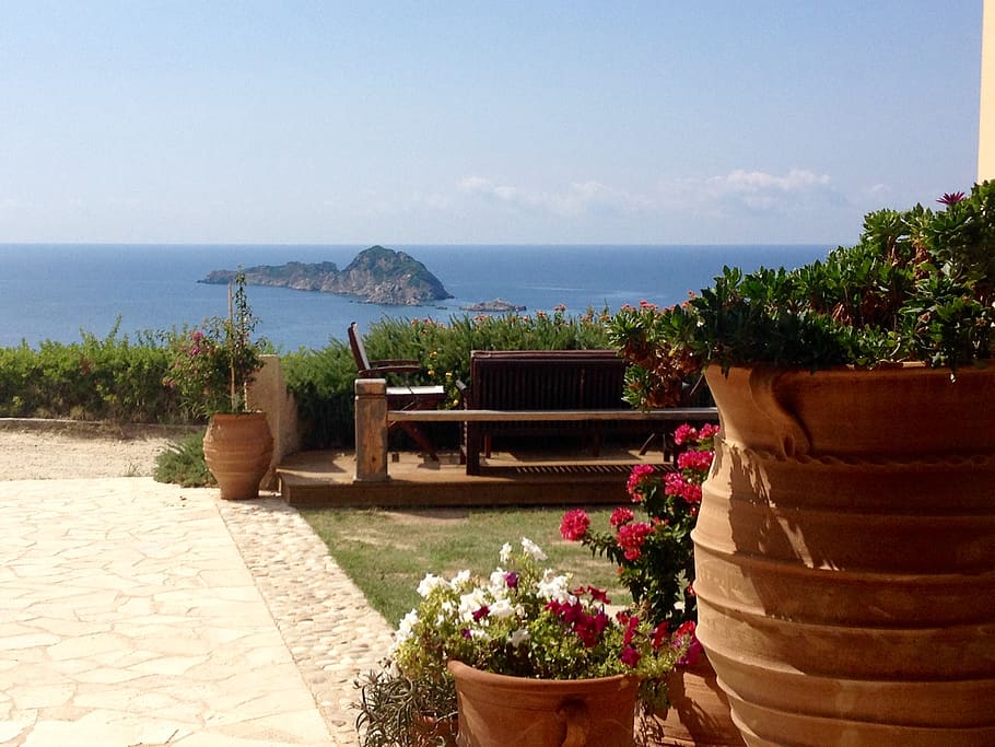 greece, unnamed road, plant, sea, water, flower, potted plant HD wallpaper
