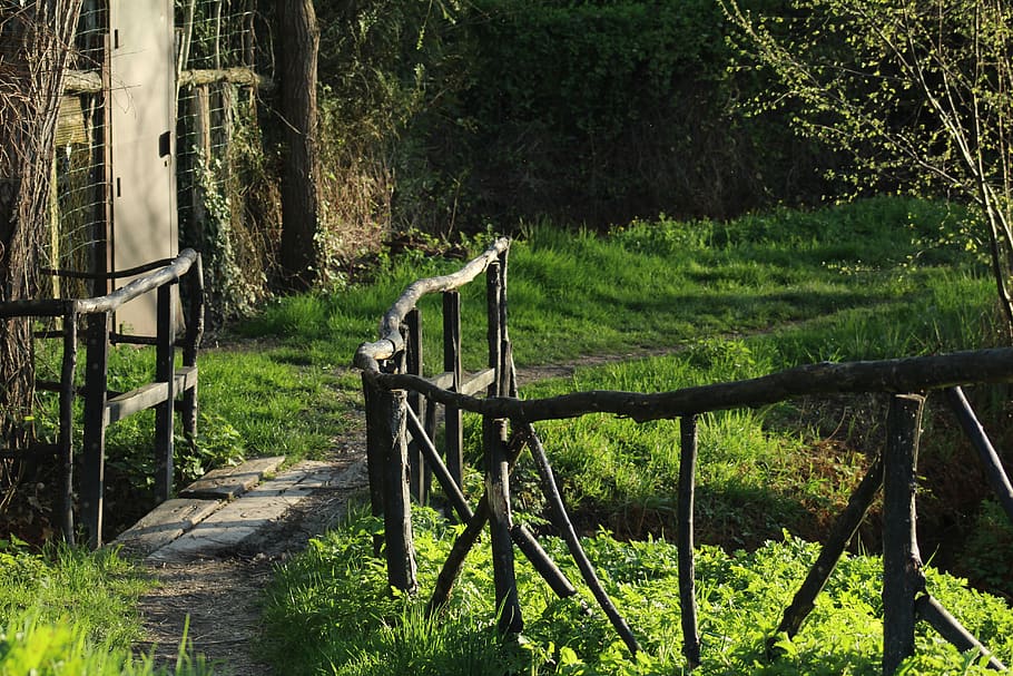 bridge during daytime, path, outdoors, plant, building, nature HD wallpaper