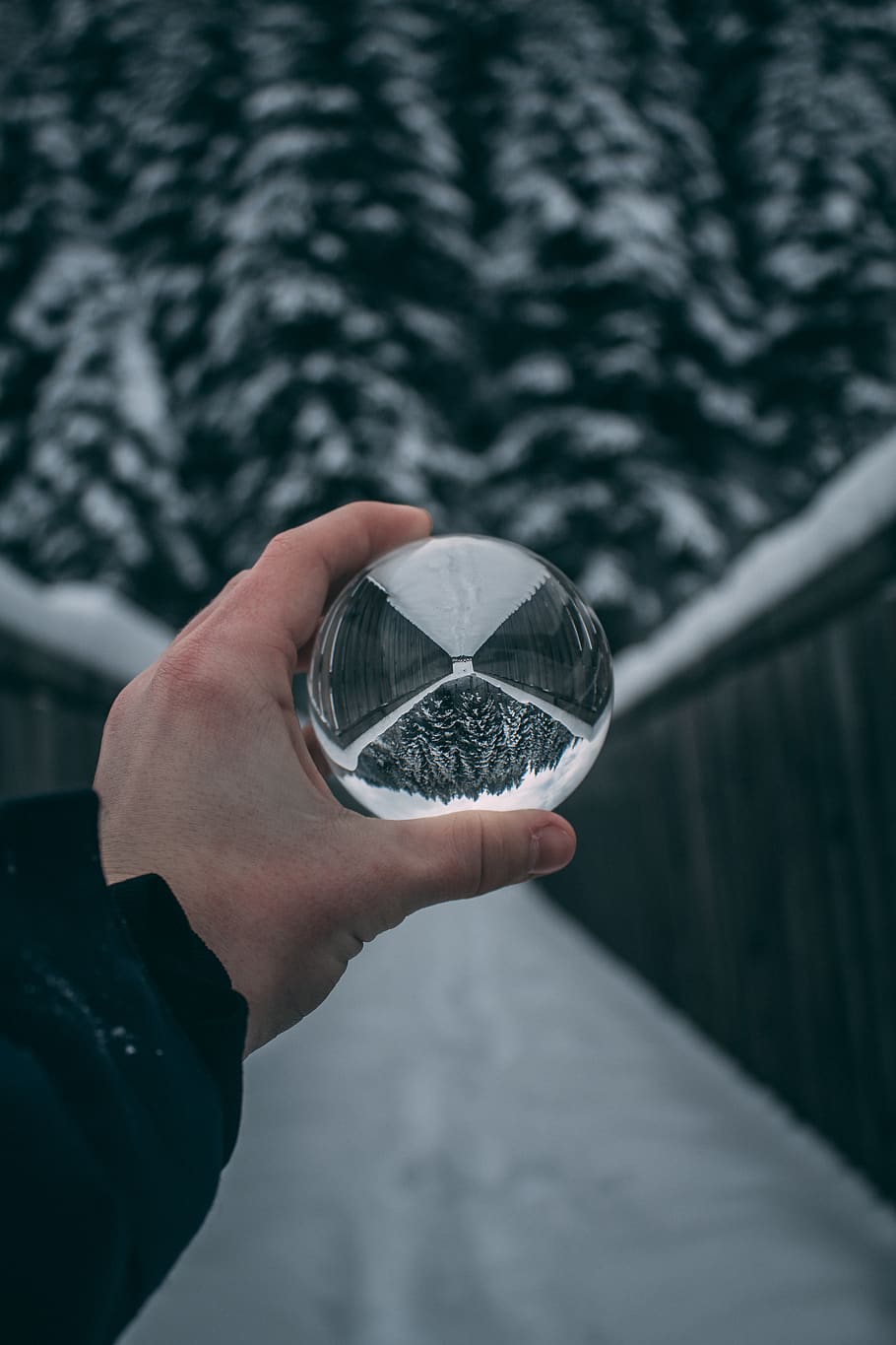 Water Bubble, human hand, human body part, holding, one person HD wallpaper