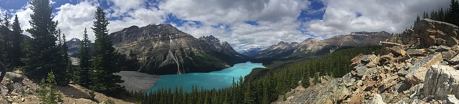 canada, alberta, banff national park, canadian rockies, peyto lake, HD wallpaper