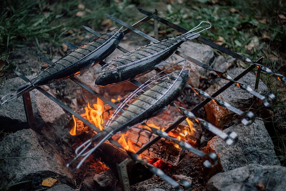 three gray fish on grill, fire, burning, flame, fire - natural phenomenon HD wallpaper