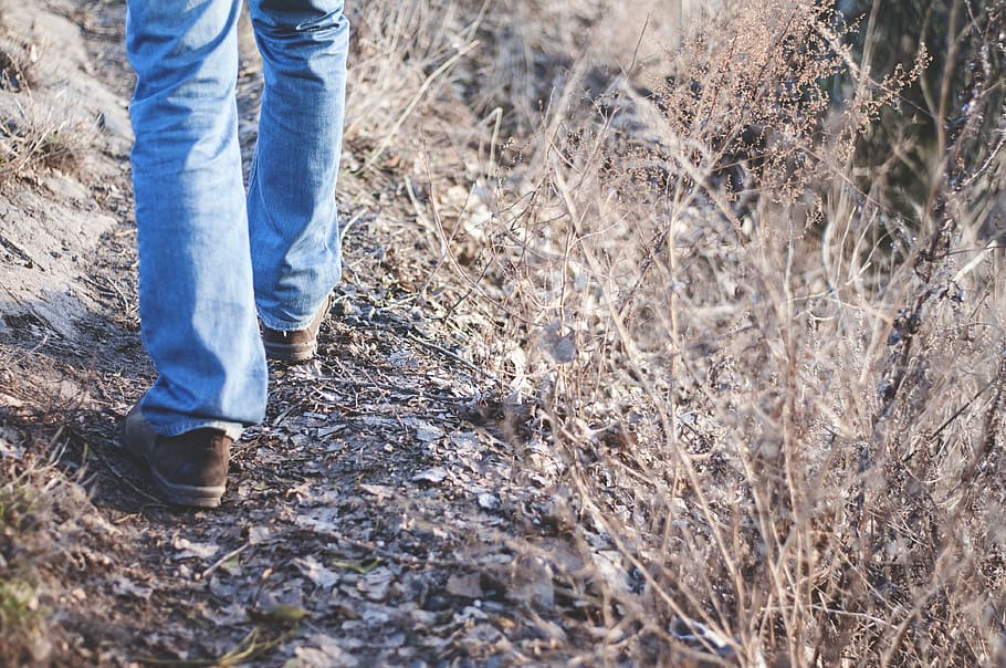 person walking, low section, human leg, one person, standing HD wallpaper