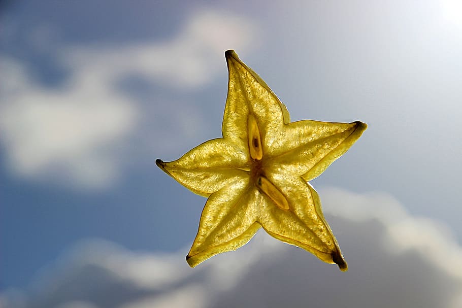star fruit, sun, sky, clouds, mood, yellow, lighting, summer HD wallpaper