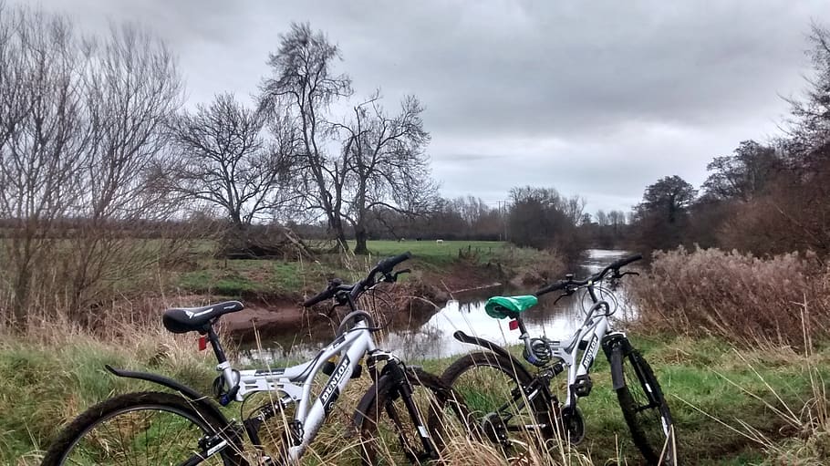 ireland, limerick, plassey park rd, cycle, ride, nature, river