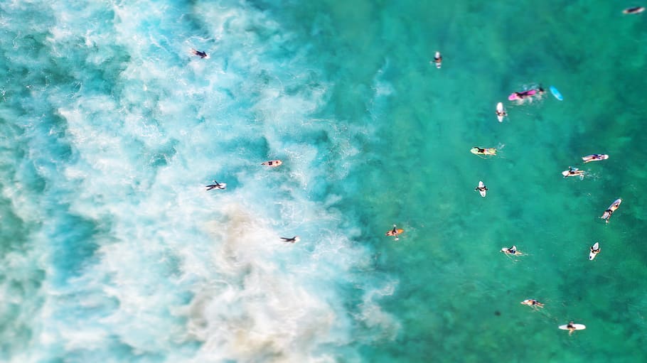 People on Ocean, action, beach, bright, color, drone shot, high angle shot HD wallpaper