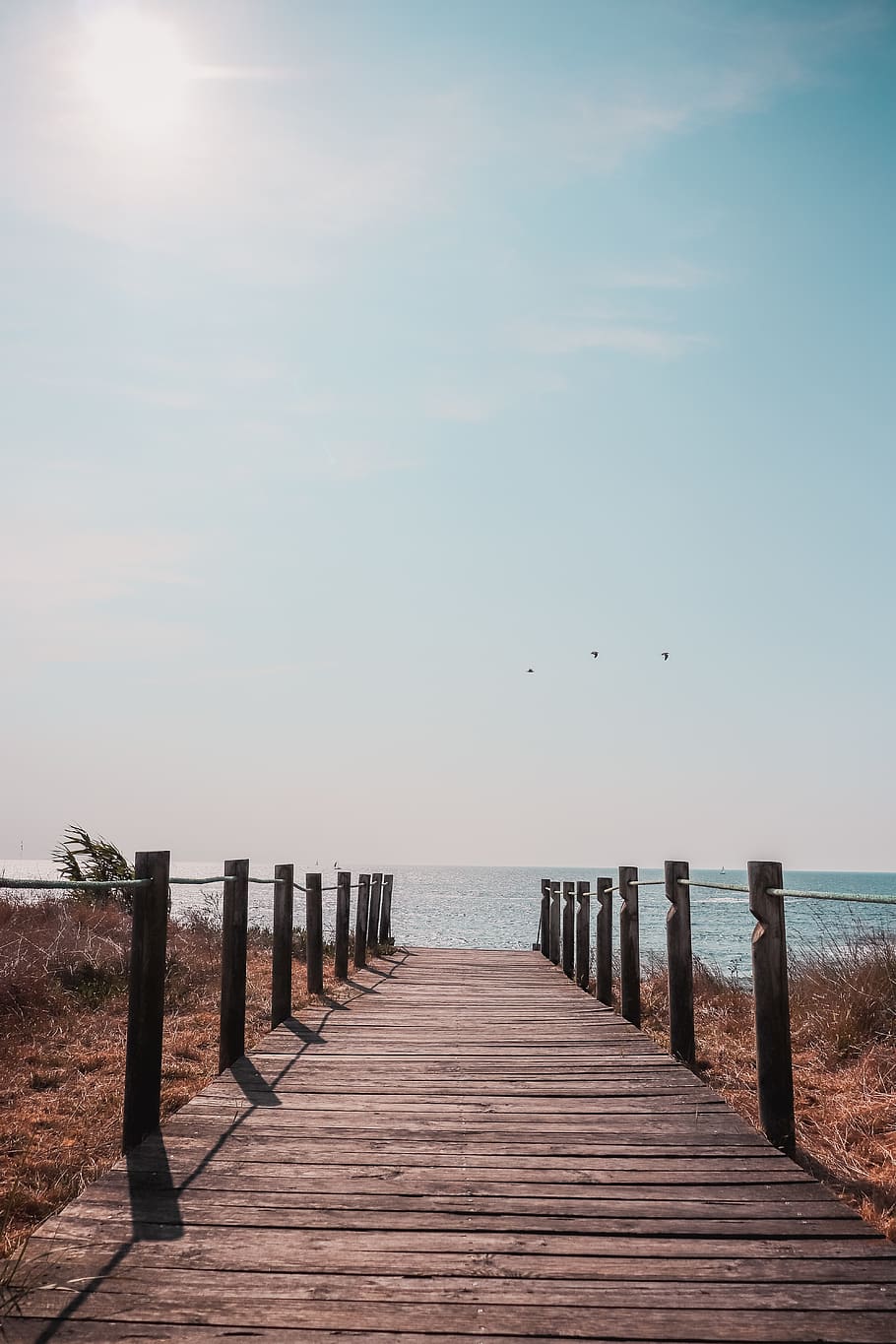 sunshine, sunset, sea, sky, water, wood - material, scenics - nature HD wallpaper