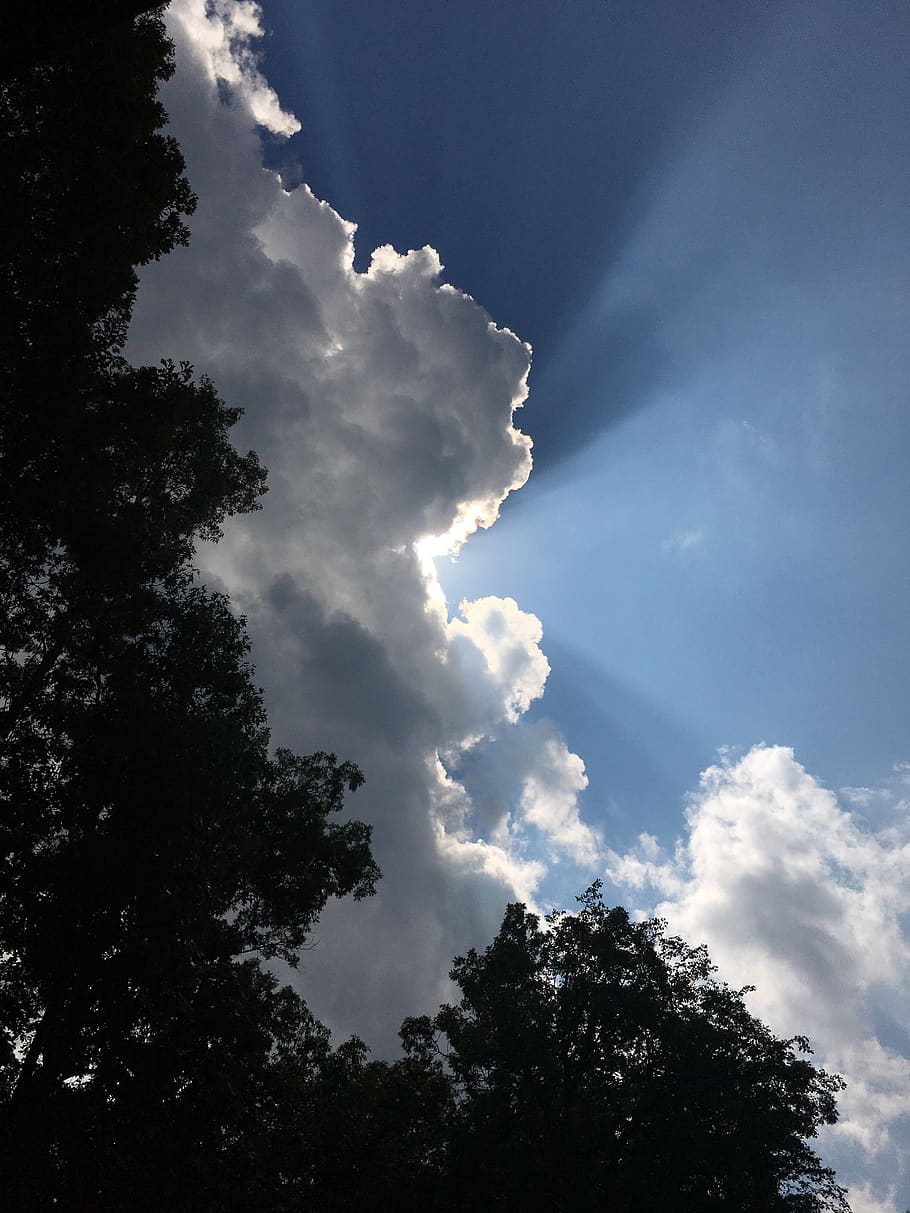 clouds, eclipse, sky, tree, cloud - sky, low angle view, plant HD wallpaper
