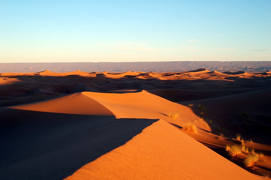 Photo of Dessert during Day Time, dawn, desert, dunes, landscape HD wallpaper