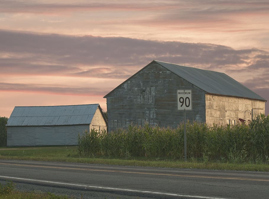 farm, crops, plants, fields, house, hut, container, architecture HD wallpaper