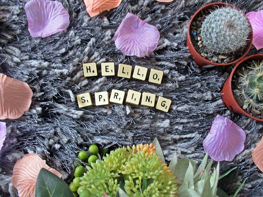 spring, scrabble, letters, cactus, flowers, flat lay, text HD wallpaper
