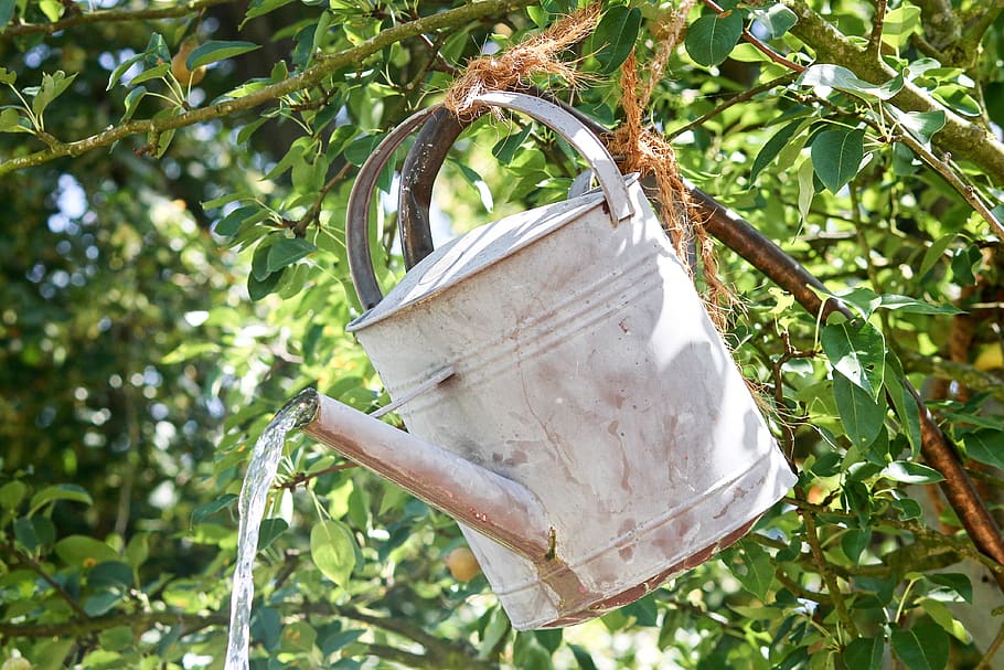 watering can, metal, water jet, gardening, vessel, casting, HD wallpaper