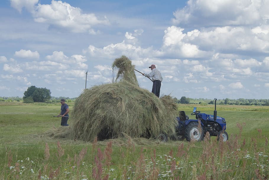 village, rick, work, grass, haymaking, nature, landscape, summer HD wallpaper