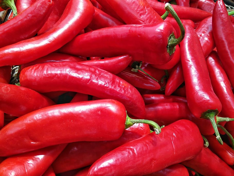 red, food and drink, pepper, vegetable, chili pepper, spice HD wallpaper