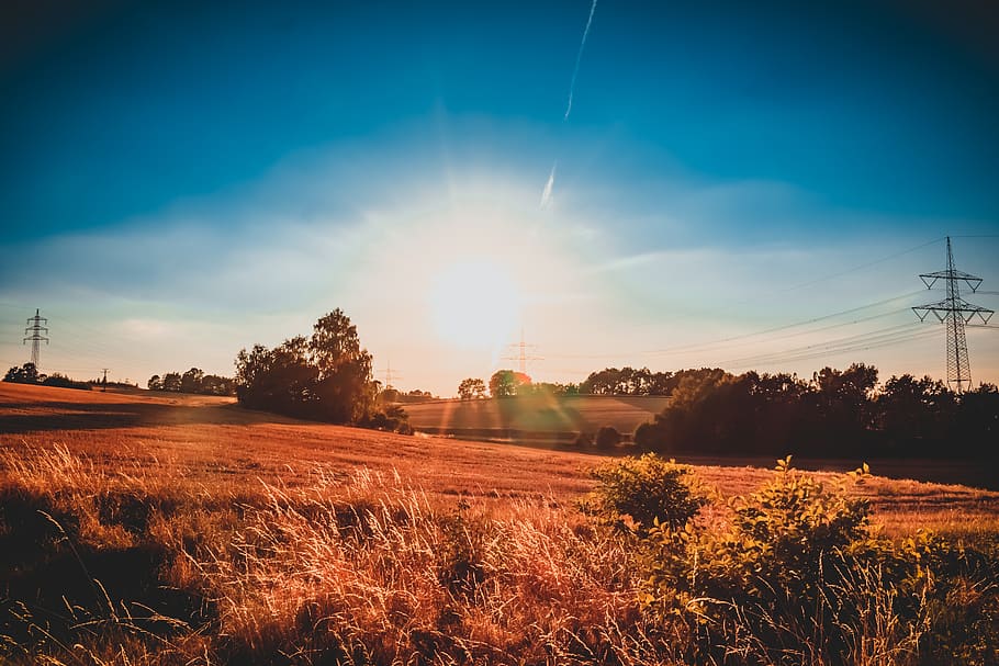field, sun, evening, landscape, sunset, sky, grass, rural, agriculture HD wallpaper
