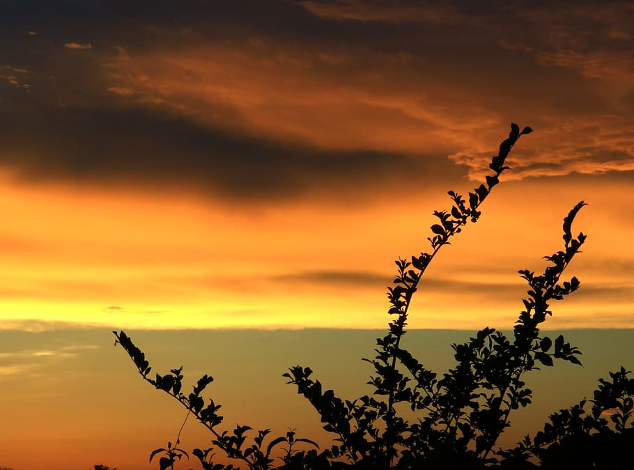 sunset, sky, sunrise, landscape, dawn, nature, sunny, orange HD wallpaper