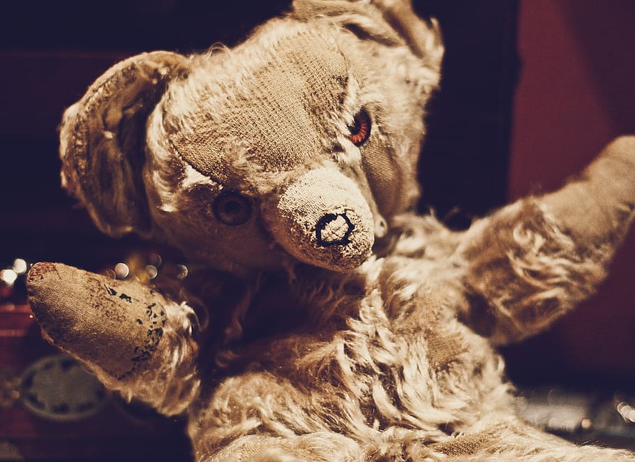 brown teddy bear, toy, stuffed toy, mammal, close-up, indoors HD wallpaper