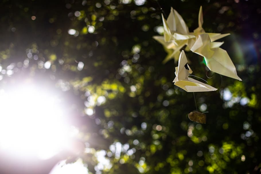 spain, nerín, light, green, nature, wedding, paper, happy HD wallpaper