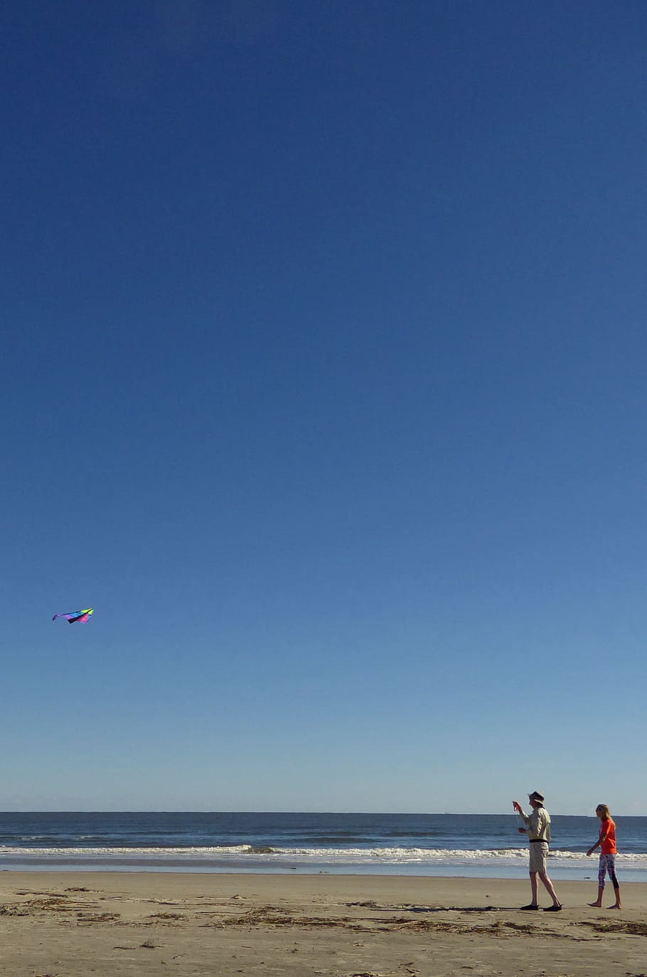sky, kite, colors, beach, ocean, fun, flying, family, water HD wallpaper