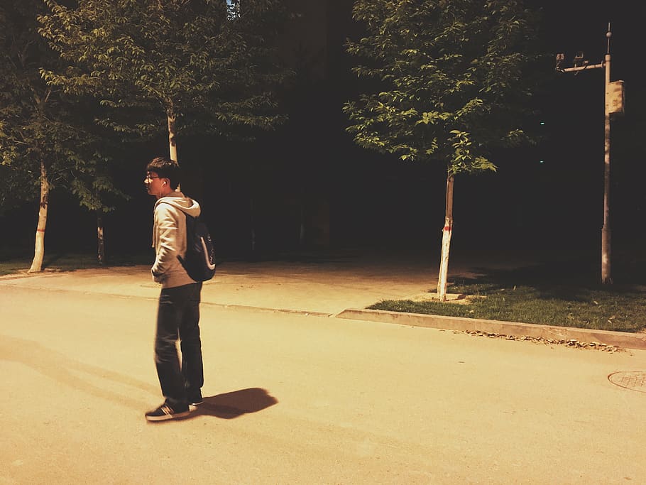 night, single, one person, tree, full length, real people, plant HD wallpaper