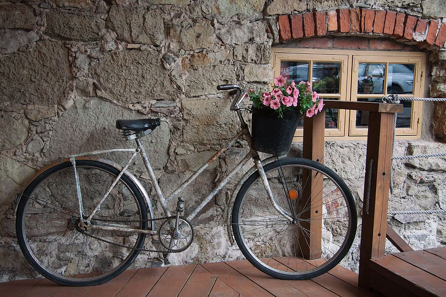 Old bicycle carrying flowers, aged, basket, beautiful, beauty, HD wallpaper