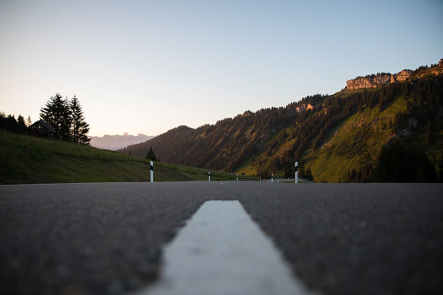 gray asphalt road, tree, gravel, dirt road, drive, open road HD wallpaper