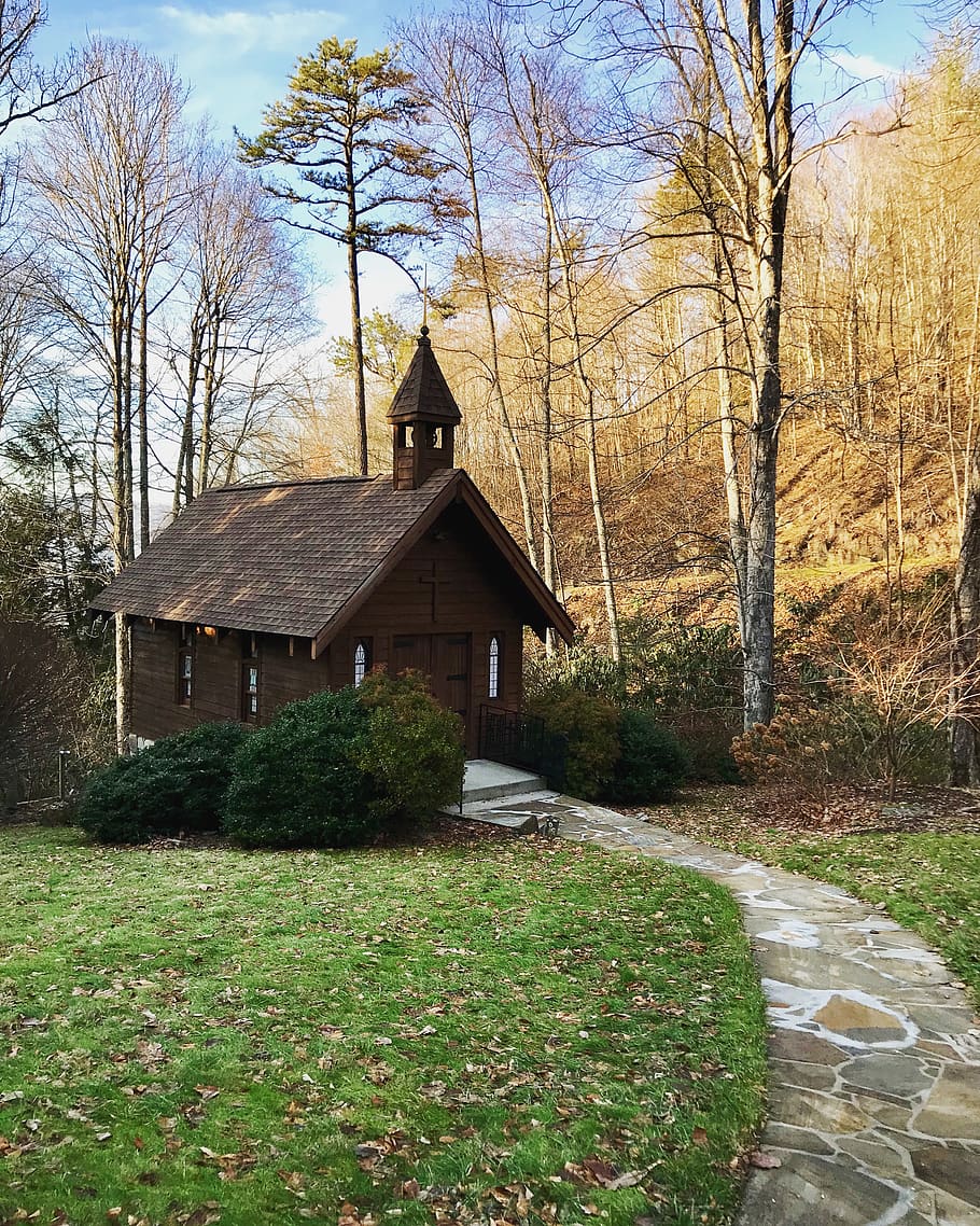brown house bear trees, housing, building, cottage, waynesville HD wallpaper