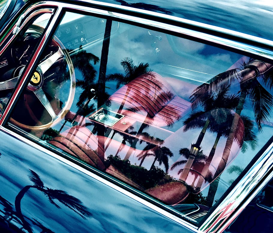 palm trees reflecting on car windshield, mode of transportation HD wallpaper