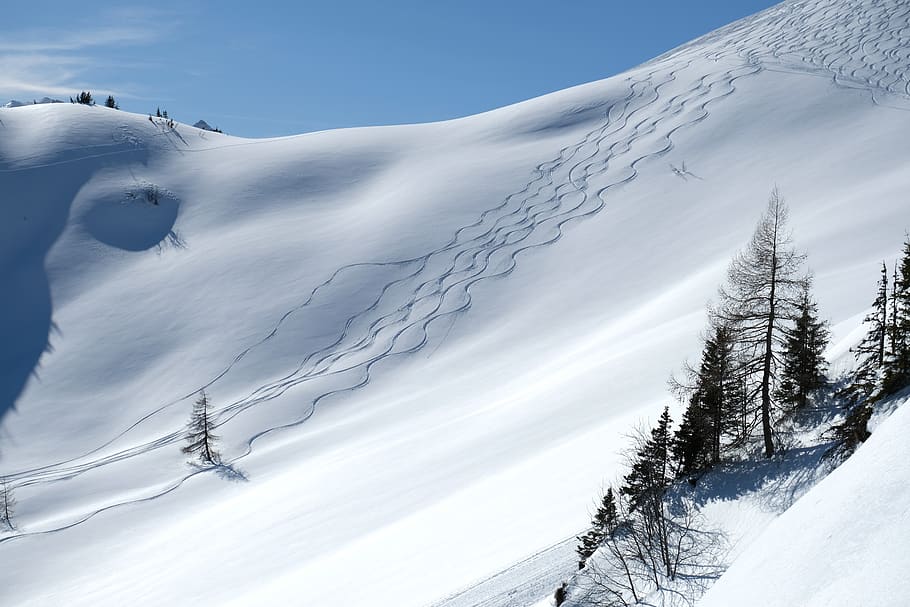 landscape, nature, winter, wintry, snow, snow landscape, white splendour HD wallpaper