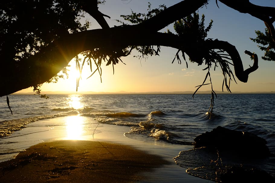 sunset, trees, water, ocean, sand, nature, sea, sky, beauty in nature HD wallpaper