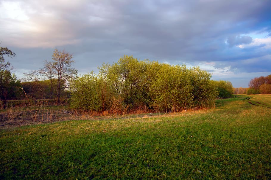 background, beam, cloud, cloudscape, country, countryside, environment HD wallpaper