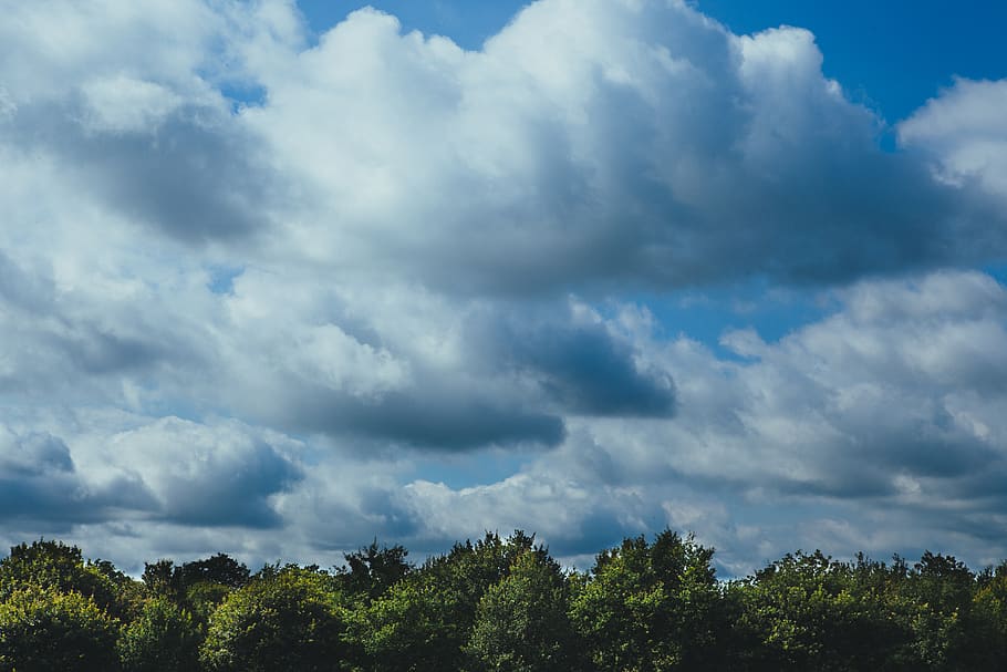 Forest Under Cloudy Sky, clouds, trees, cloud - sky, plant, beauty in nature HD wallpaper
