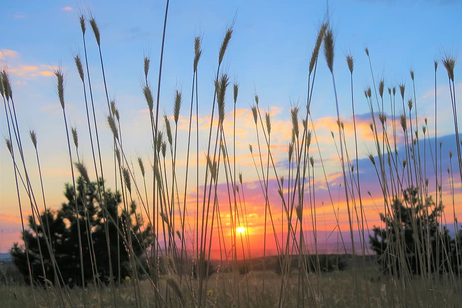 sunset, nature, sky, clouds, in the evening, countryside, outdoor HD wallpaper