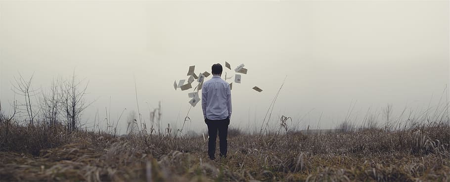 guy, man, papers, field, grass, fog, people, standing, rear view HD wallpaper
