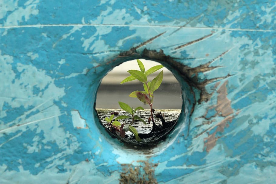 1920x1080px-free-download-hd-wallpaper-boat-plant-blue-abstract