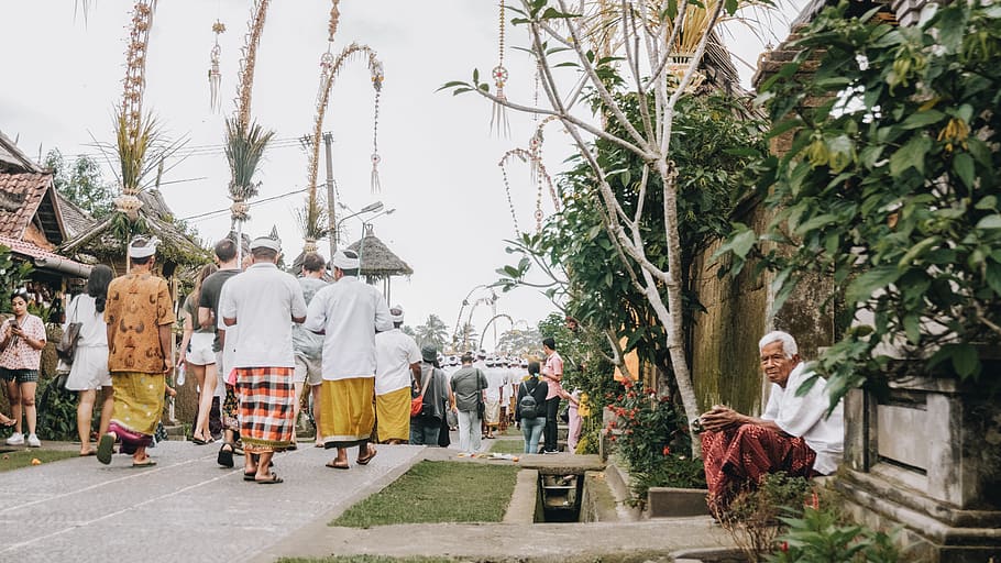 bali, Penglipuran Village, Indonesia, tree, group of people, HD wallpaper