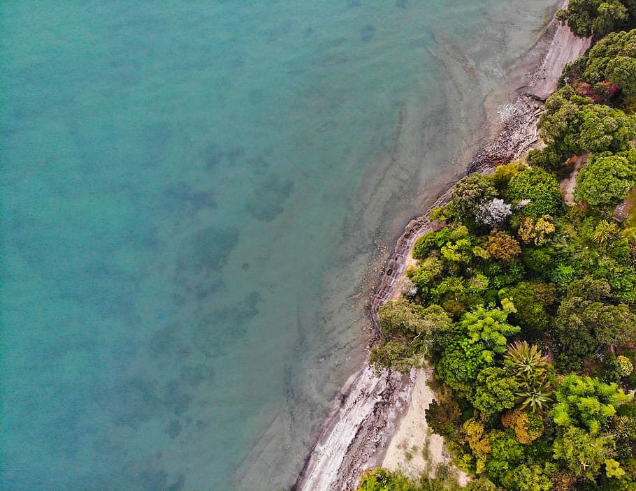 green tree, outdoors, landscape, scenery, aerial view, shoreline HD wallpaper