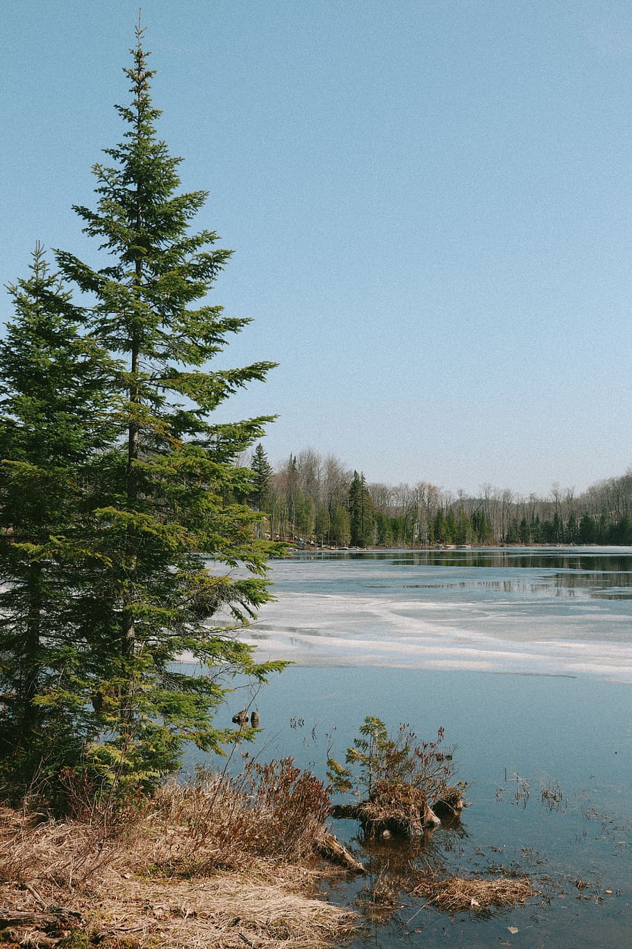 canada, entrelacs, trees, sky, blue, minimalist, cover, bluesky HD wallpaper
