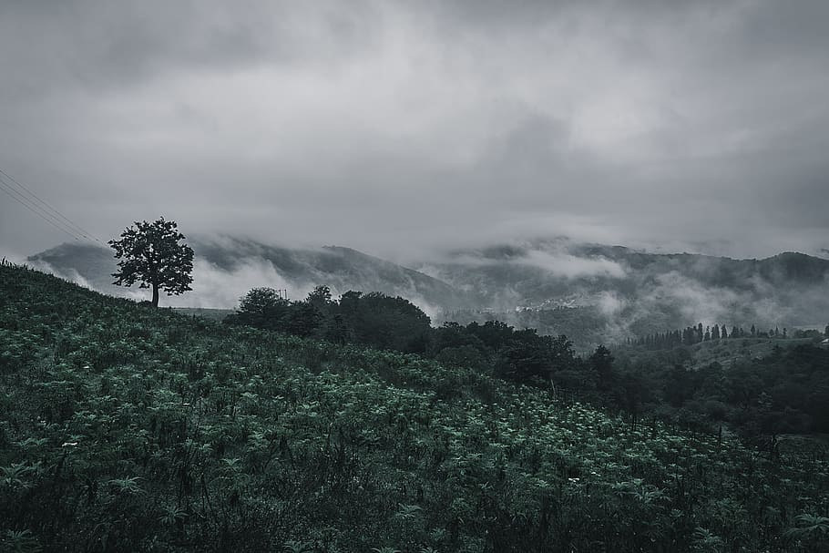 iran, lafoor, mountain, clouds, fog, green, kqpho, grass, trees HD wallpaper