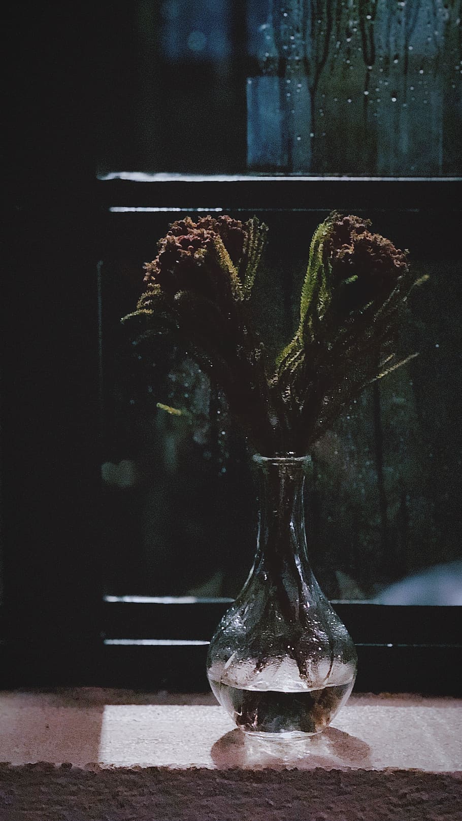 Clear Glass Vase Near Window, container, dark, flowers, grow HD wallpaper