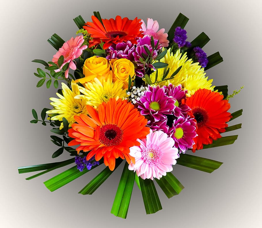 spring, fresh, flower, nature, fragrance, garden, blooming HD wallpaper