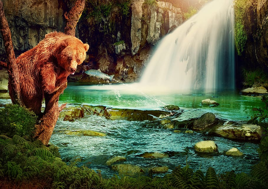 fantasy, brown bear, waterfall, river, fish, tree, rock, shrubs HD wallpaper