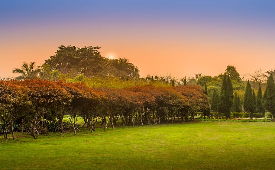 nature, landscape, green, grass, trees, leaves, autumn, fall HD wallpaper