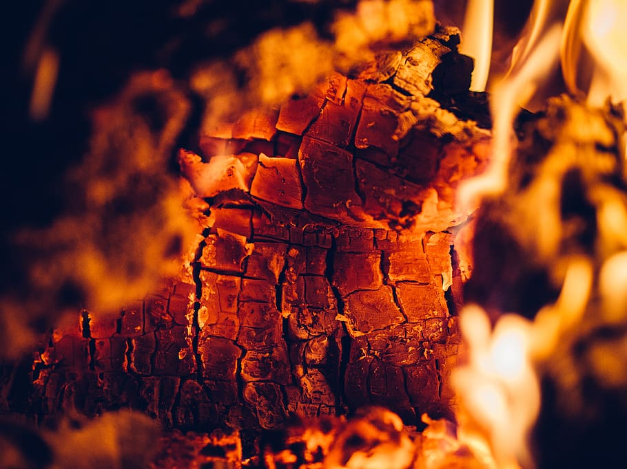 Wood Burning, element, ember, fire, fireplace, selective focus HD wallpaper
