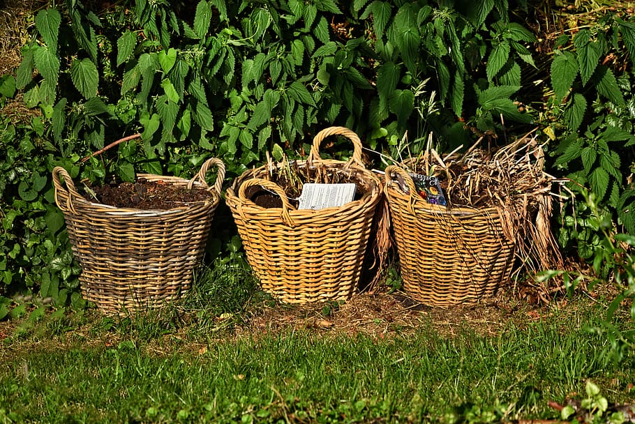 basket, cane, woven, handmade, container, handicraft, three HD wallpaper