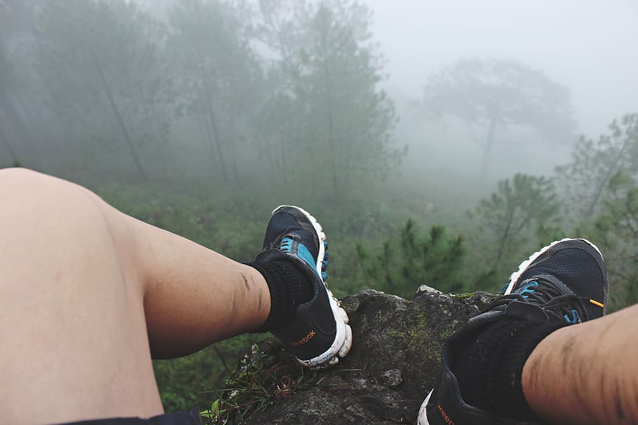 philippines, benguet, real people, tree, lifestyles, leisure activity HD wallpaper