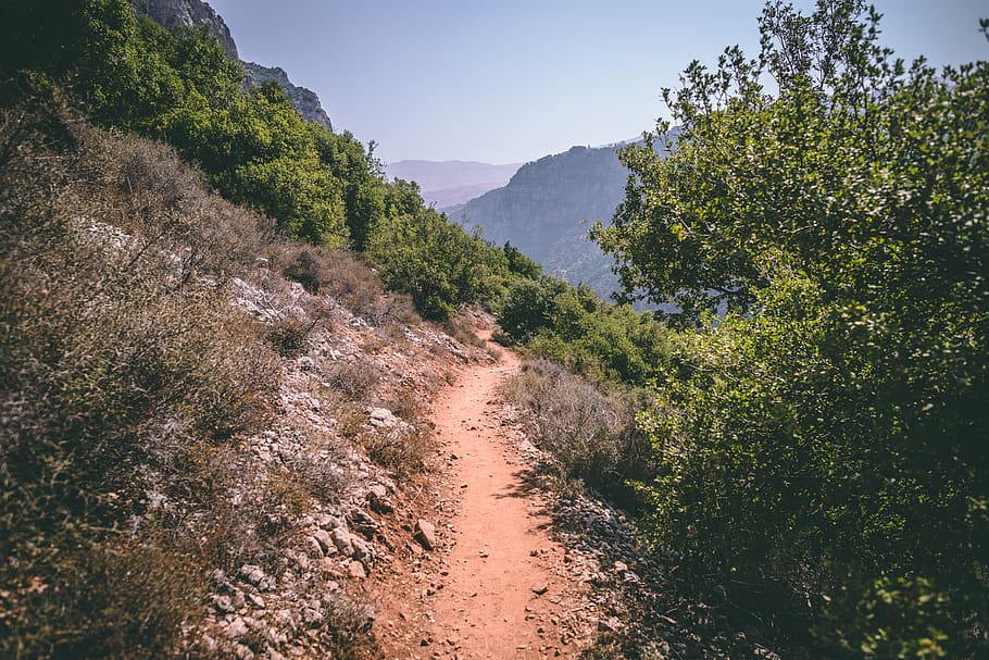 trees, road, green, rock, hike, summer, fall, leaves, sun, hot HD wallpaper