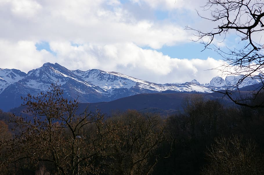 mountain, snow, sky, winter, summit, landscape, beautiful, tree HD wallpaper